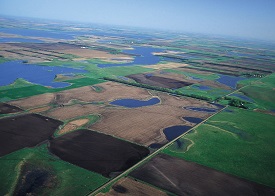 Webinar Preview Image