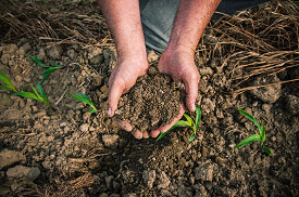 Webinar Preview Image