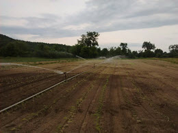 Webinar Preview Image