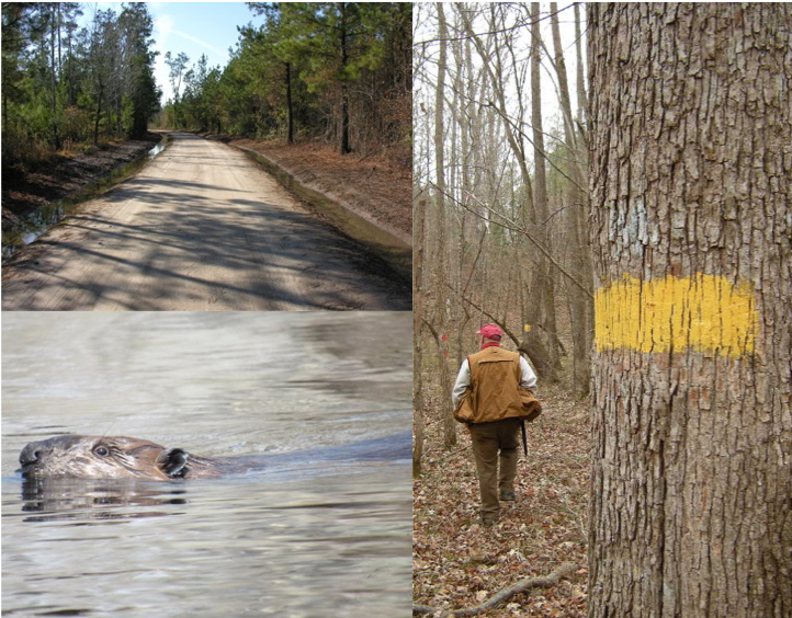 Webinar Preview Image