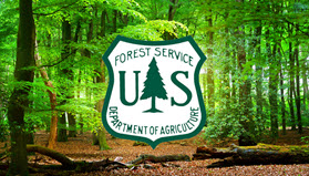 Webinar Preview Image